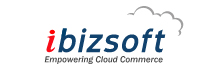 iBizSoft Inc.