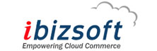 iBizSoft